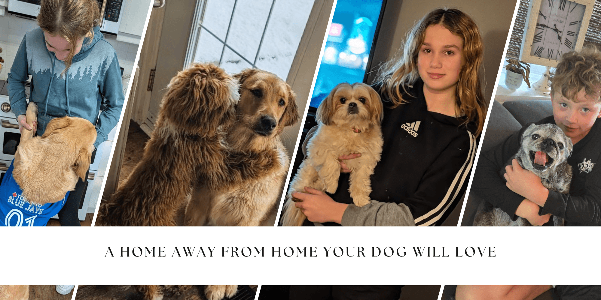 best cage free dog kennel