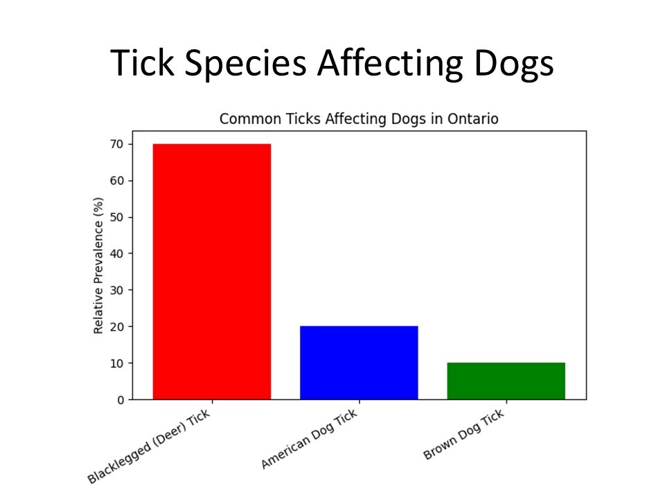 ticks harmful to dogs