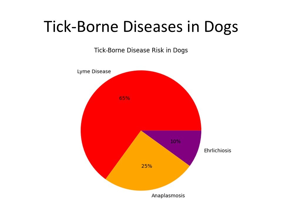 tick species affecting dogs